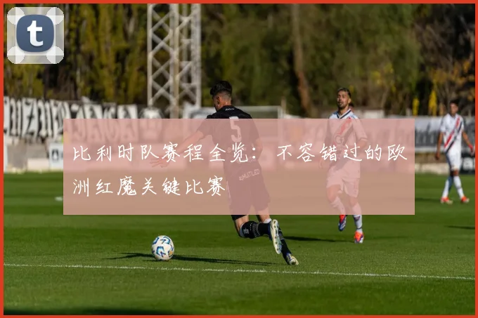 比利时队赛程全览：不容错过的欧洲红魔关键比赛